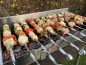 Preview: Edelstahl Schaschlik Spießdreher „Sesam“ mit 11 Spießen, Motor + Powerbank Preview: Edelstahl Schaschlik Spießdreher „Sesam“ mit 11 Spießen, Motor + Powerbank